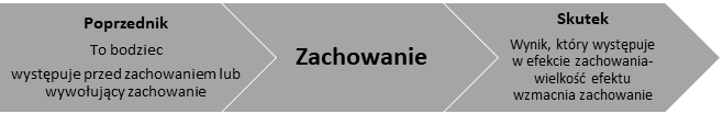 schemat zmiany zachowania w metodyce bezpieczeństwa behawioralnego